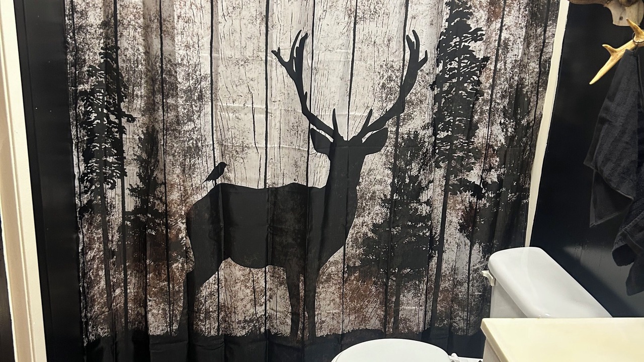 Photo of Bathroom in Chapman