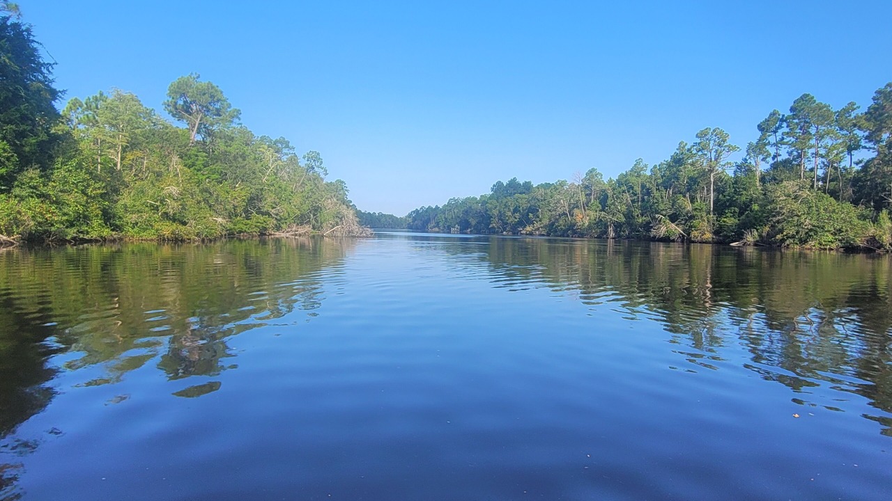 Photo of Others in Wewahitchka