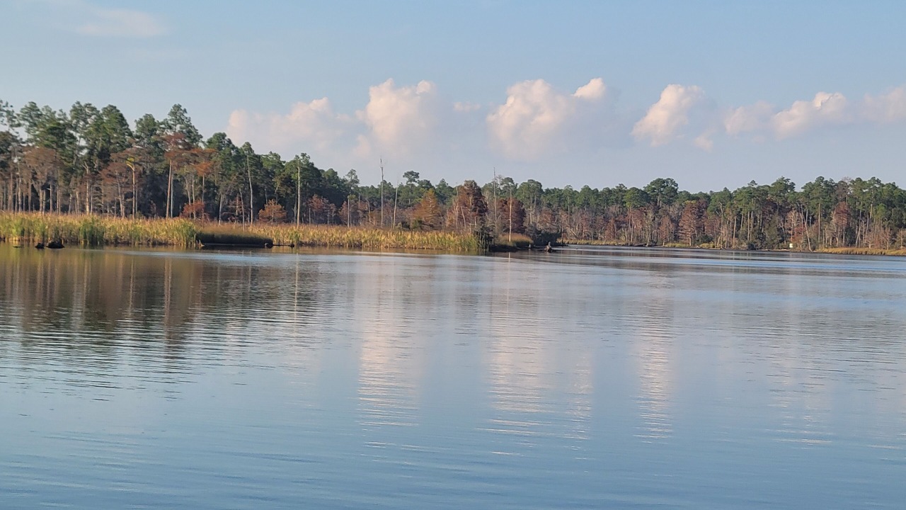 Photo of Others in Wewahitchka