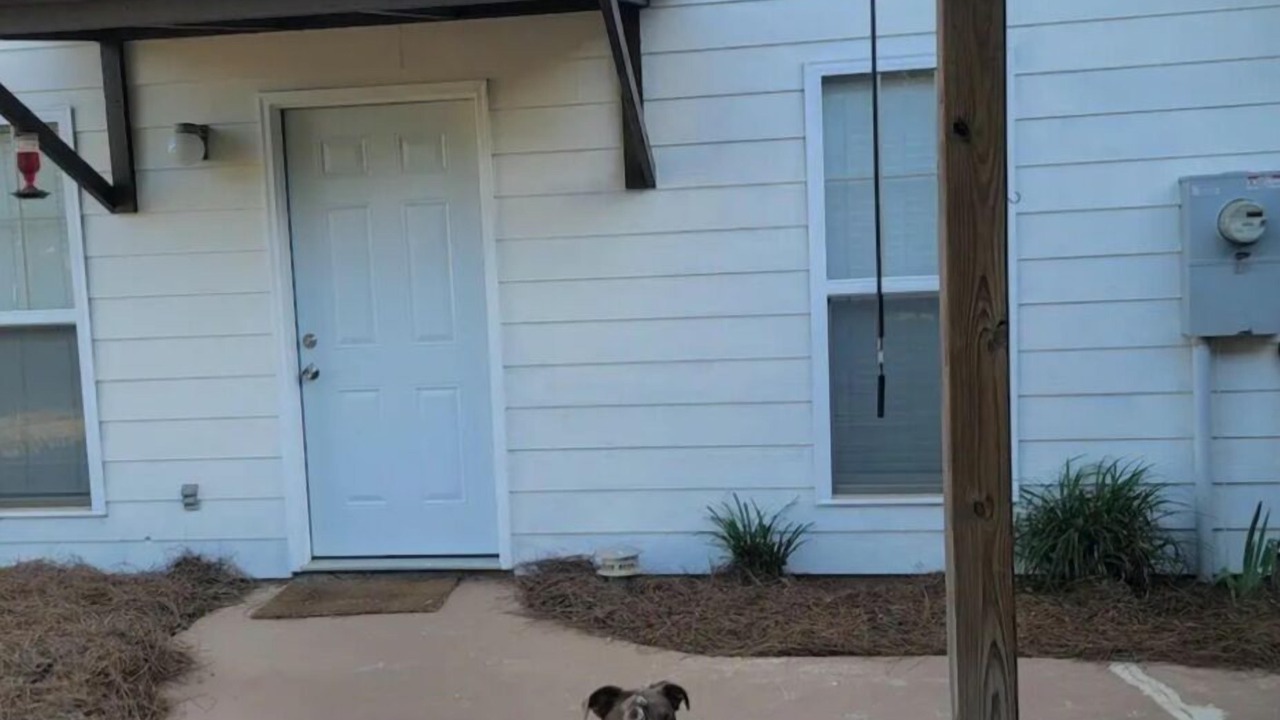 Photo of Outdoor in Sumrall