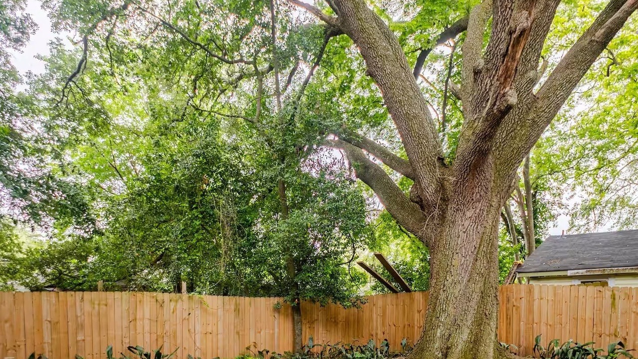 Photo of Outdoor in Broadmoor