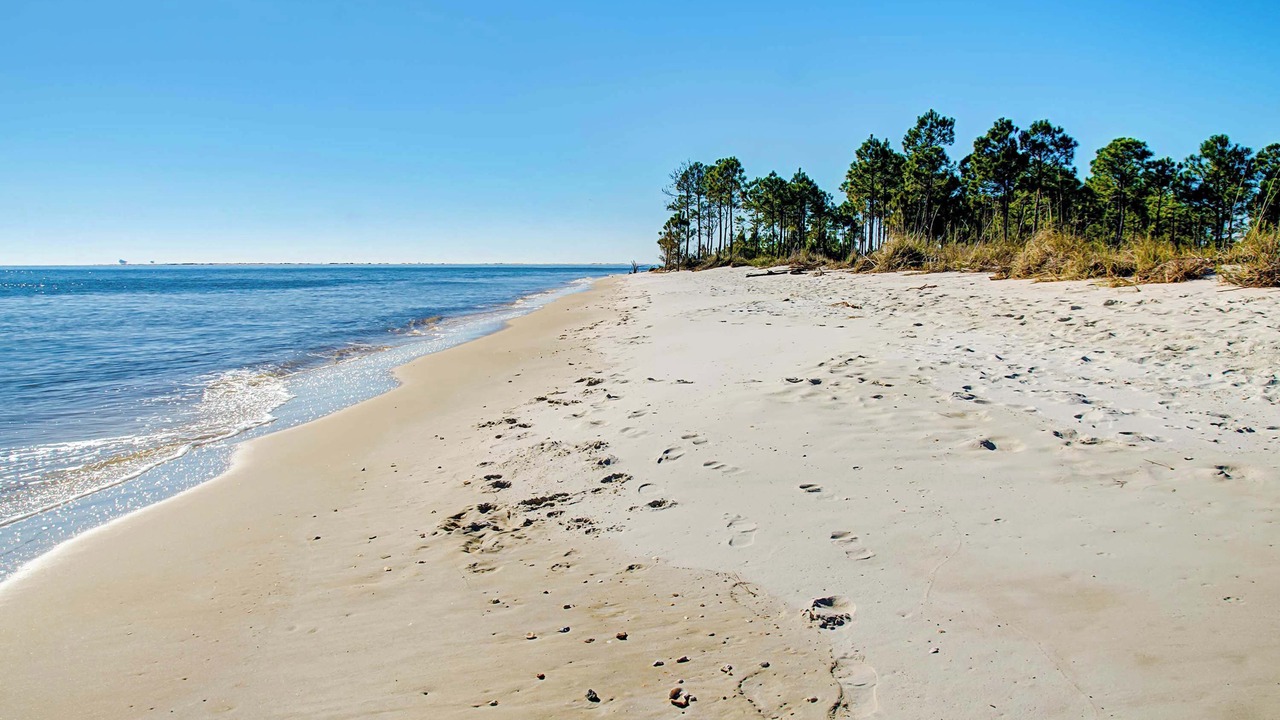 Photo of Others in Dauphin Island