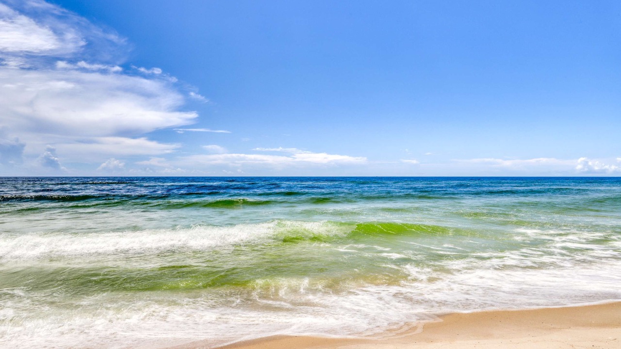 Photo of Others in Orange Beach