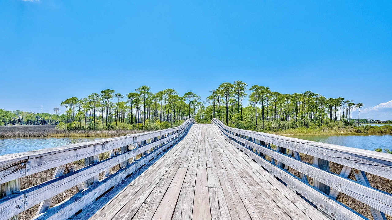 Photo of Others in Baytowne Wharf