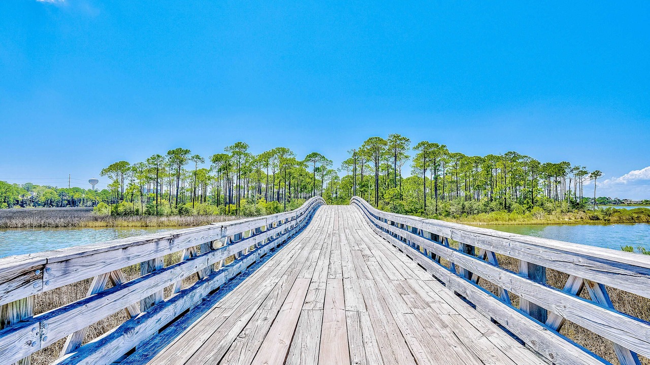Photo of Others in Baytowne Wharf