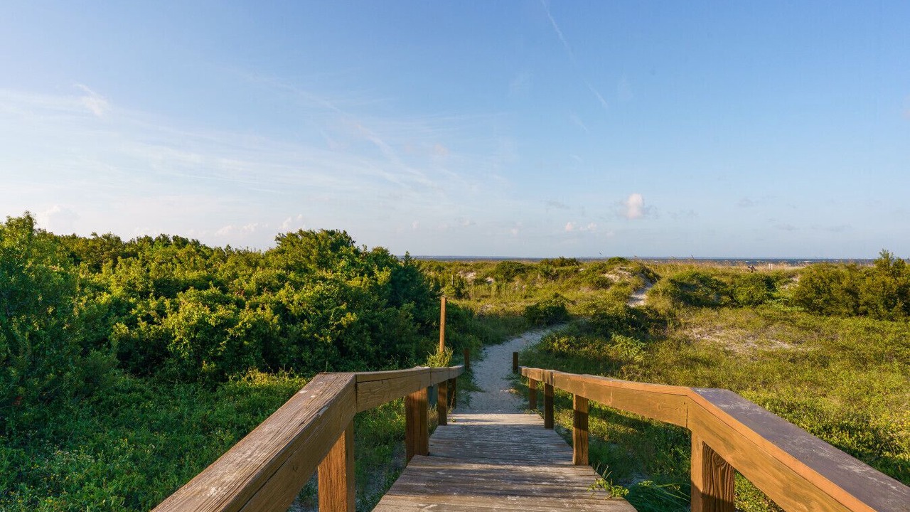 Photo of Others in Tybee Island