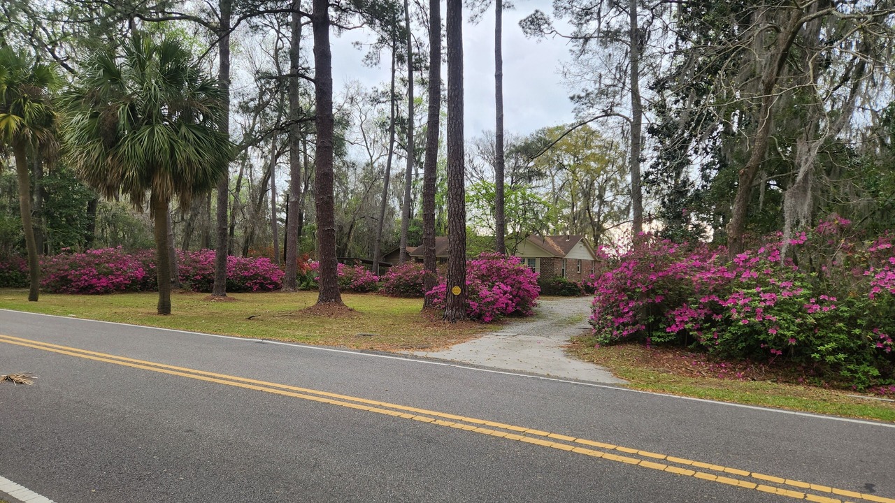 Photo of Outdoor in Savannah