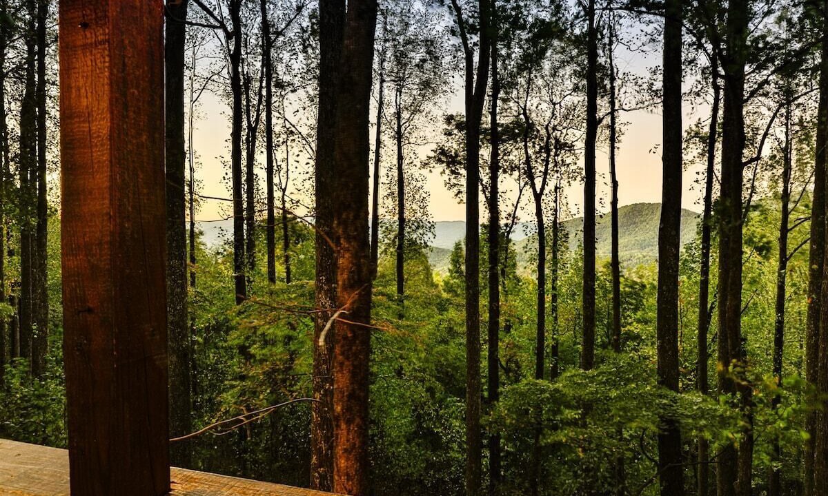 Photo of Others in Walnut Mountain