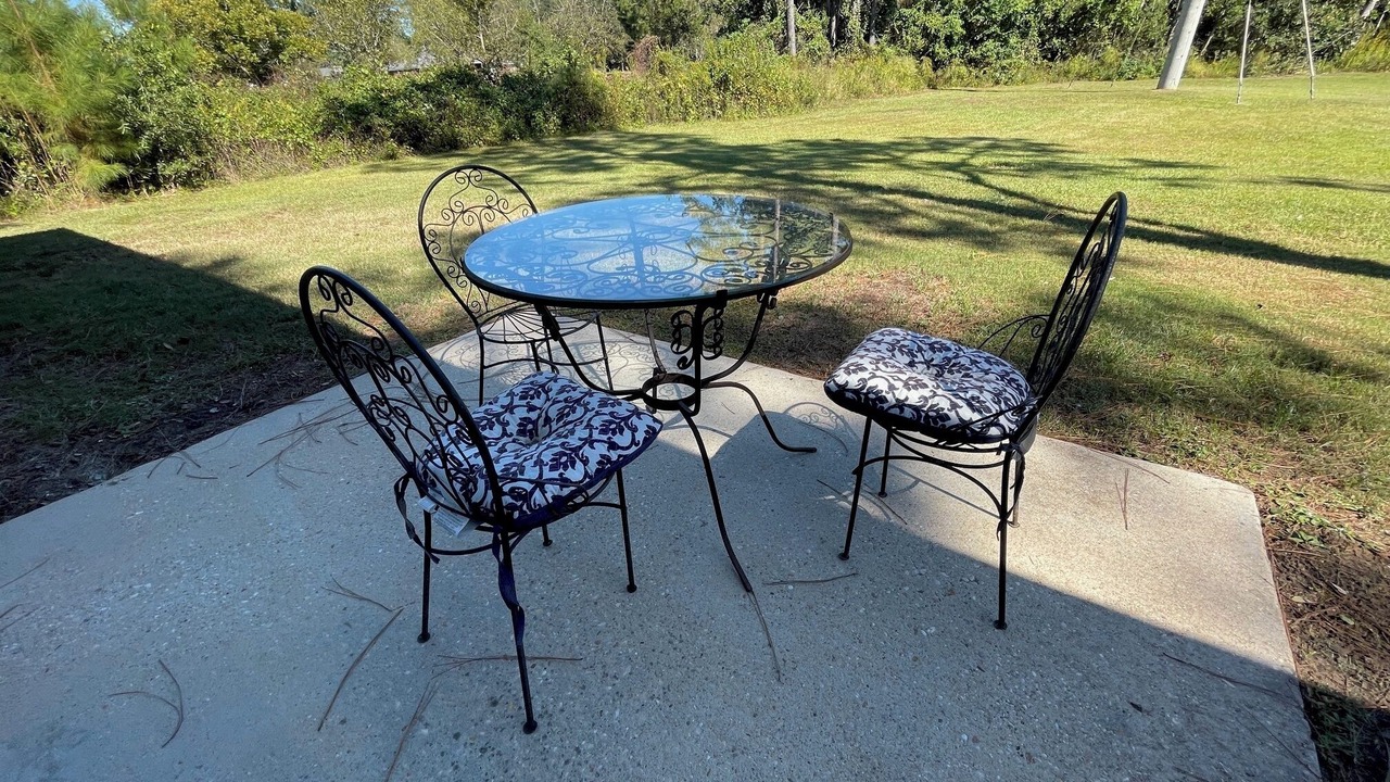 Photo of Outdoor in Pine Forest