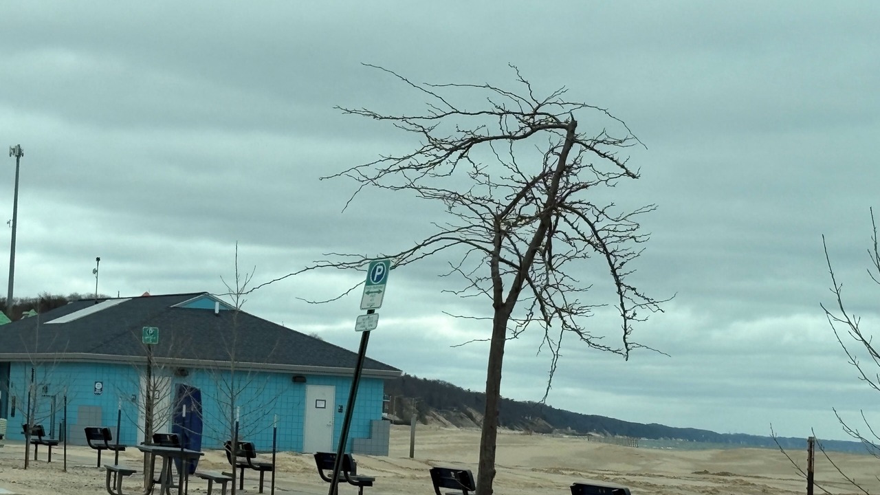 Photo of Others in Beachwood-Bluffton