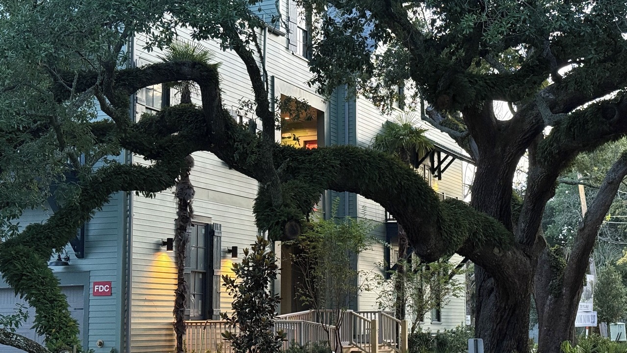 Photo of Outdoor in Biloxi