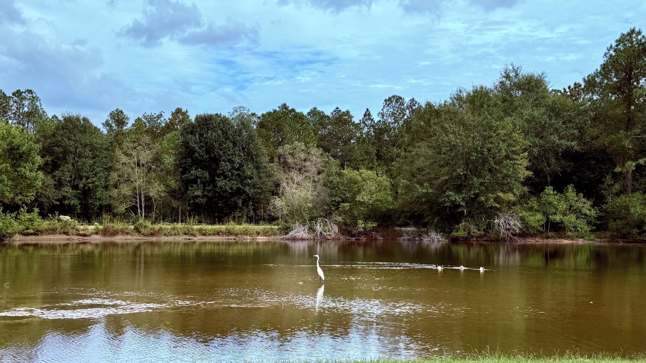 Photo of Outdoor in Gulfport