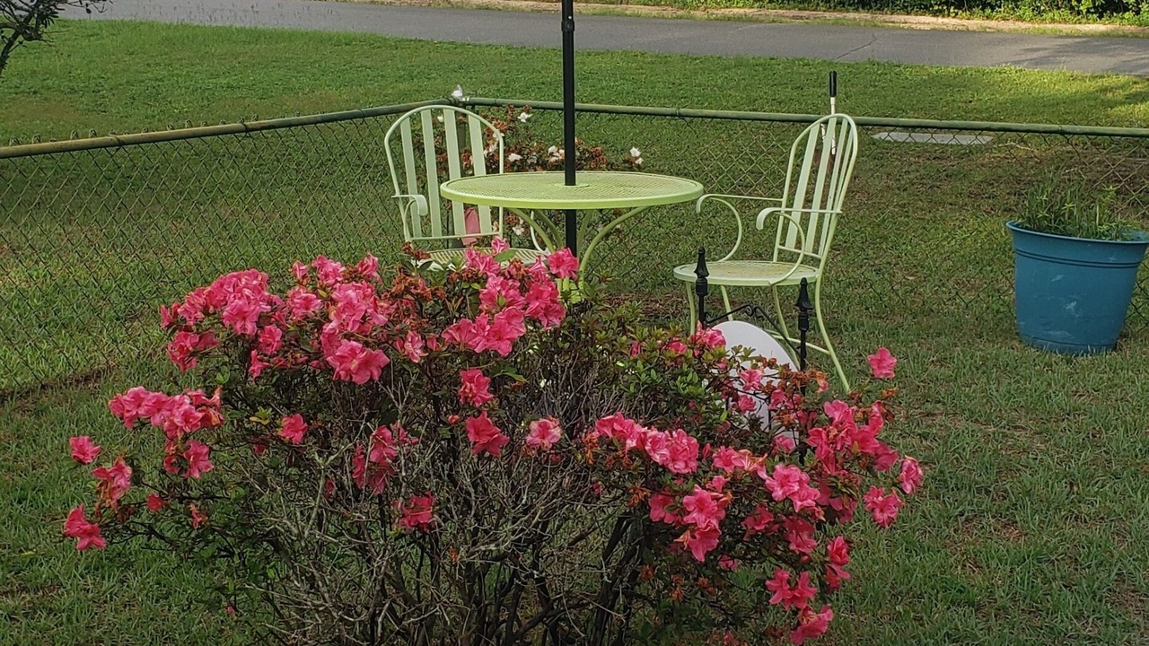 Photo of Outdoor in Lake Lorraine