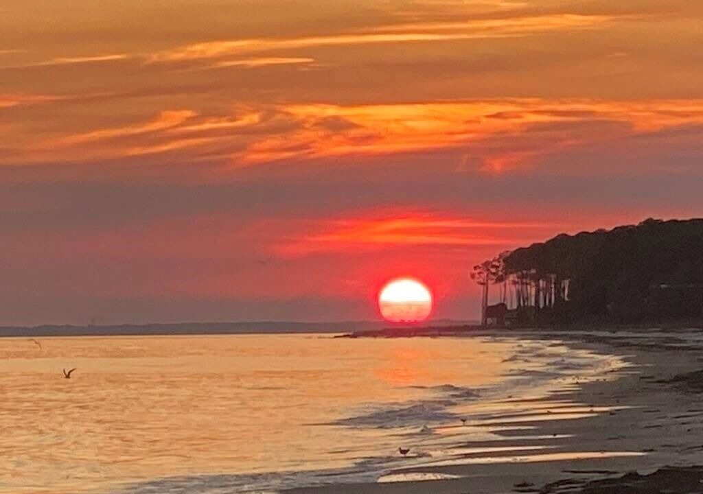 Photo of Others in Alligator Point
