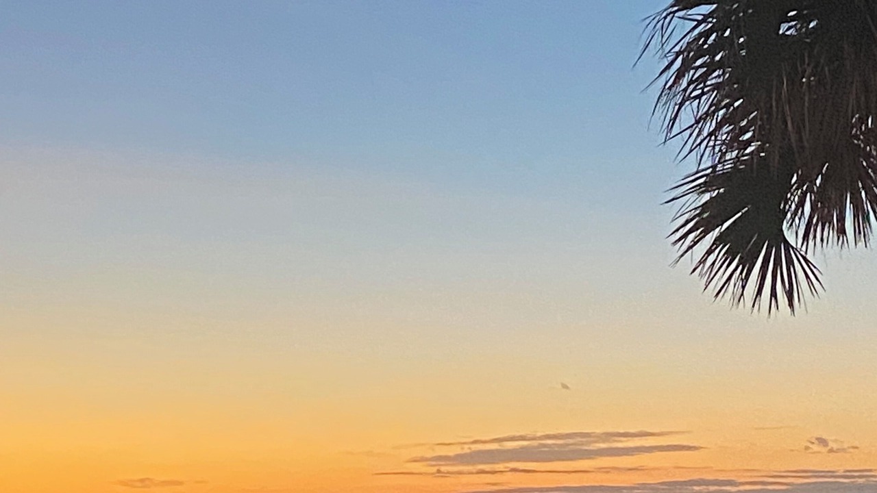 Photo of Others in Port Orange