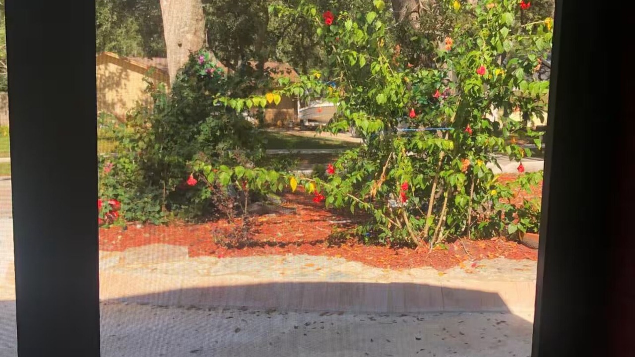 Photo of Others in Lake Mary