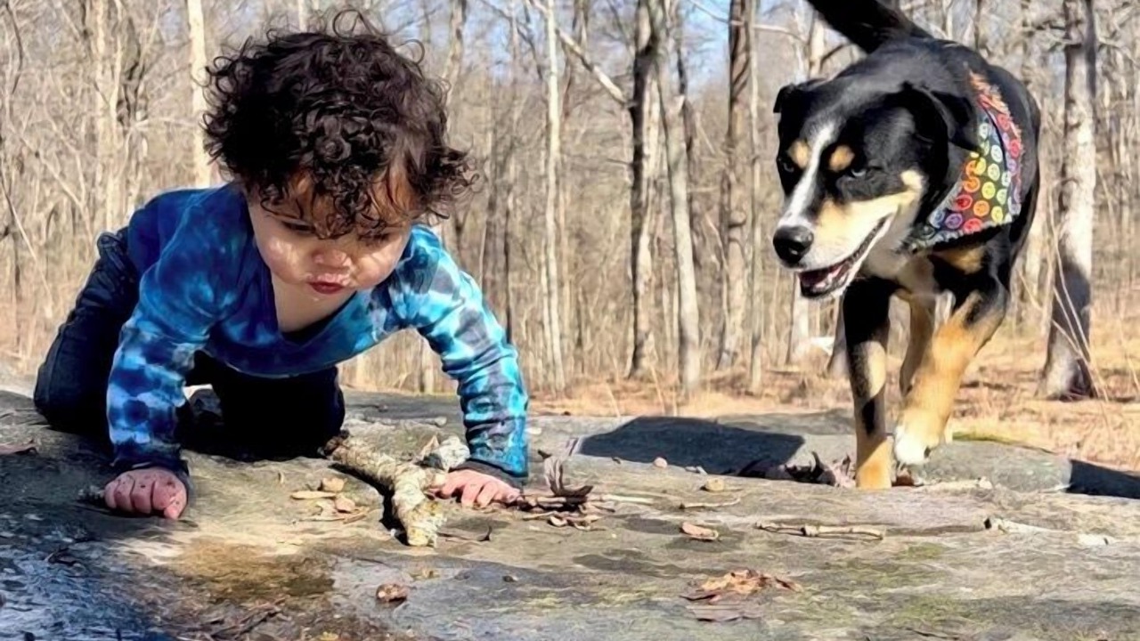 Photo of Outdoor in Rising Fawn