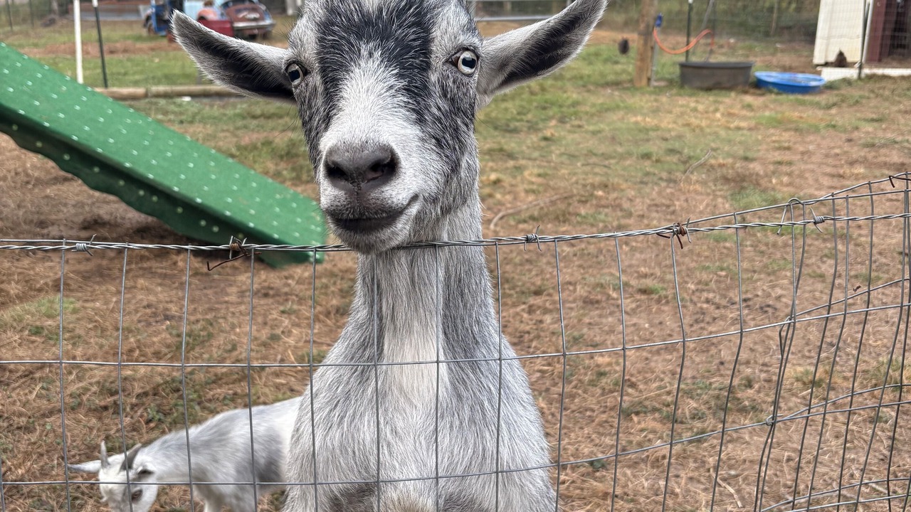 Photo of Others in Eastabuchie