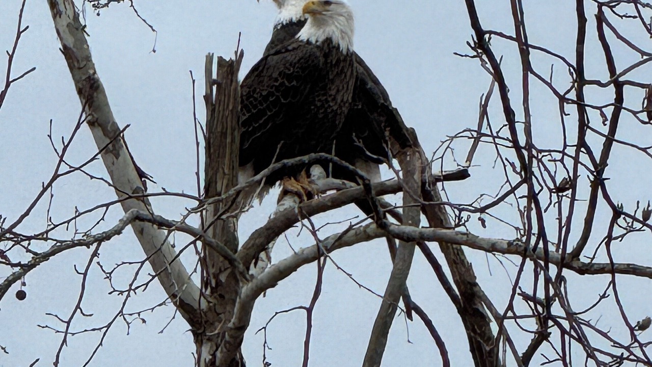 Photo of Others in Cherokee