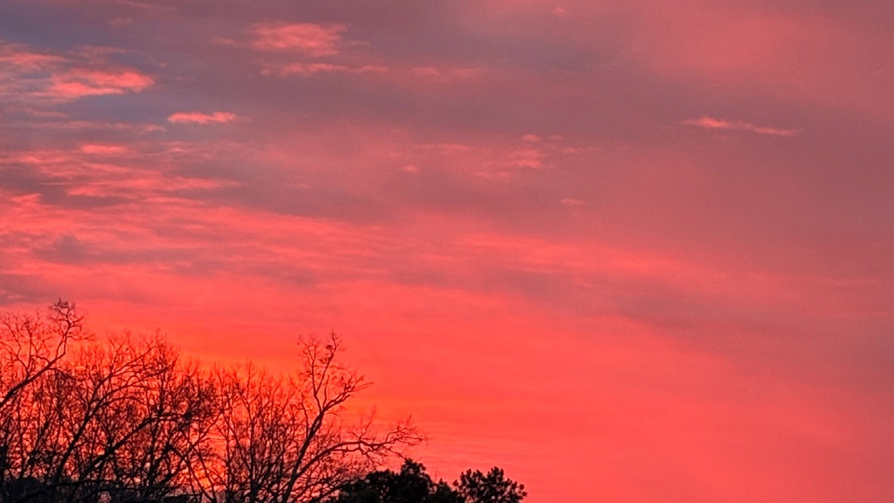 Photo of Outdoor in Pisgah