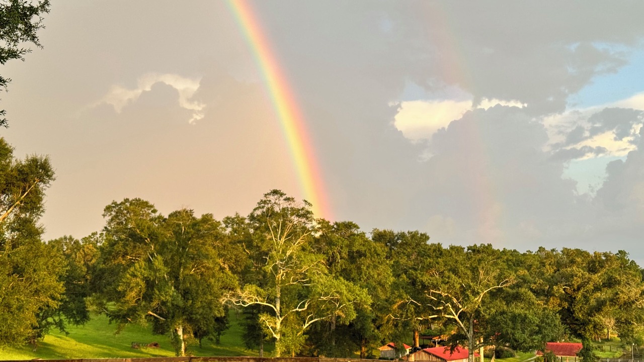 Photo of Others in Lucedale