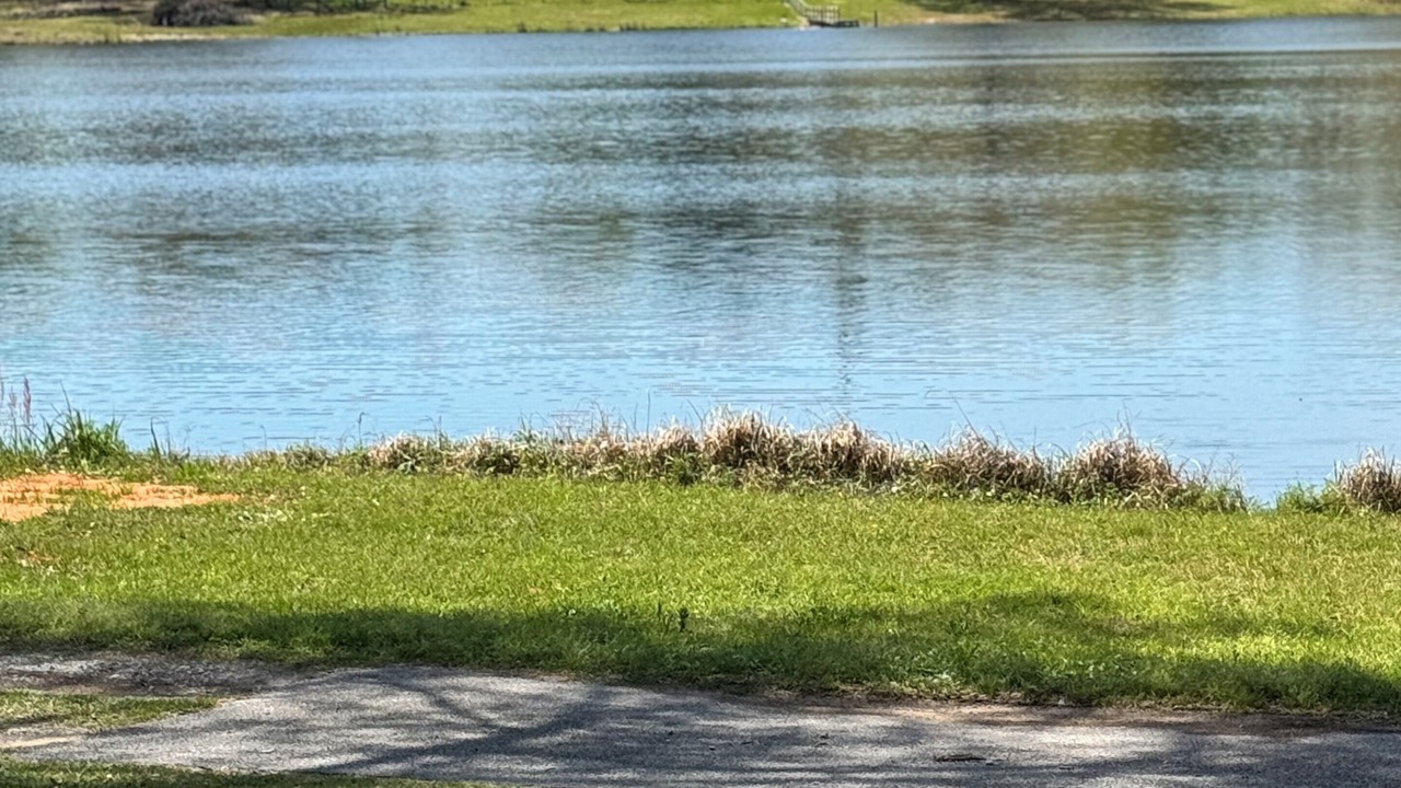 Photo of Others in Lucedale