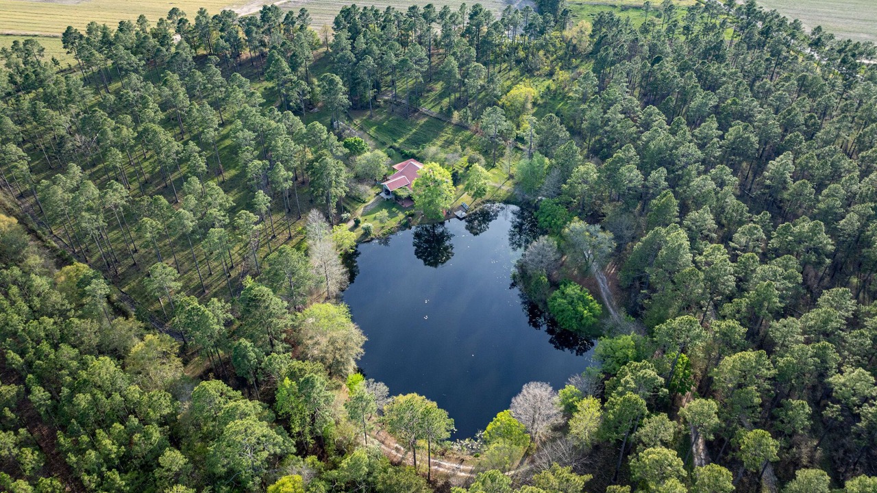 Photo of Outdoor in Moultrie