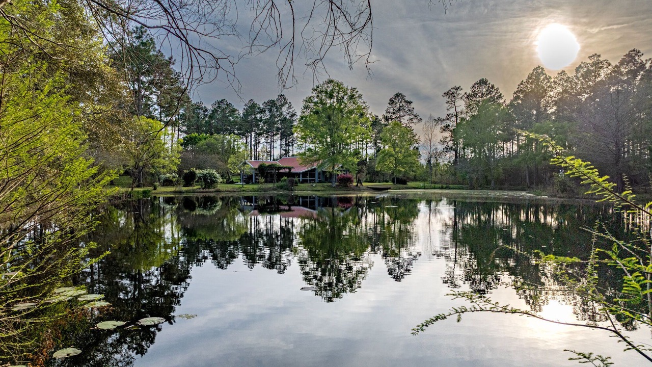 Photo of Others in Moultrie