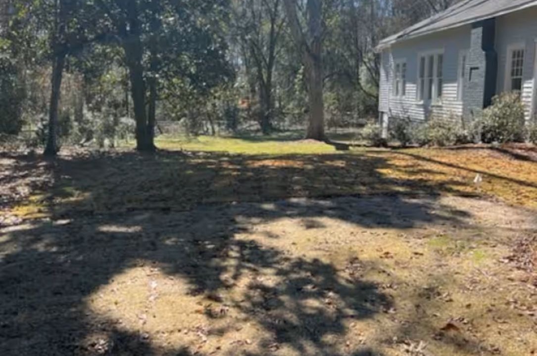 Photo of Outdoor in Pittsview