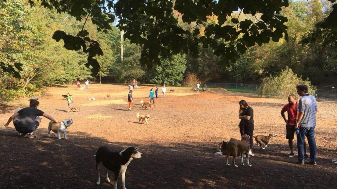 Photo of Others in Oakhurst