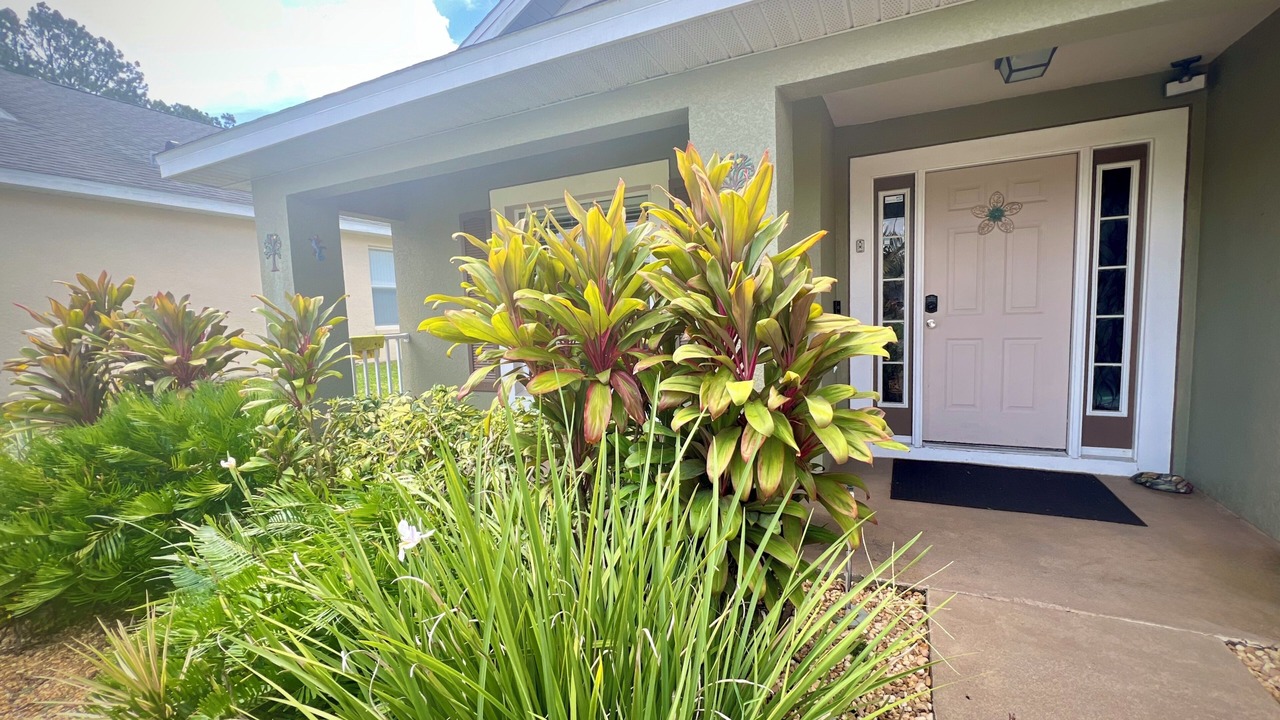 Photo of Outdoor in Florida Pines