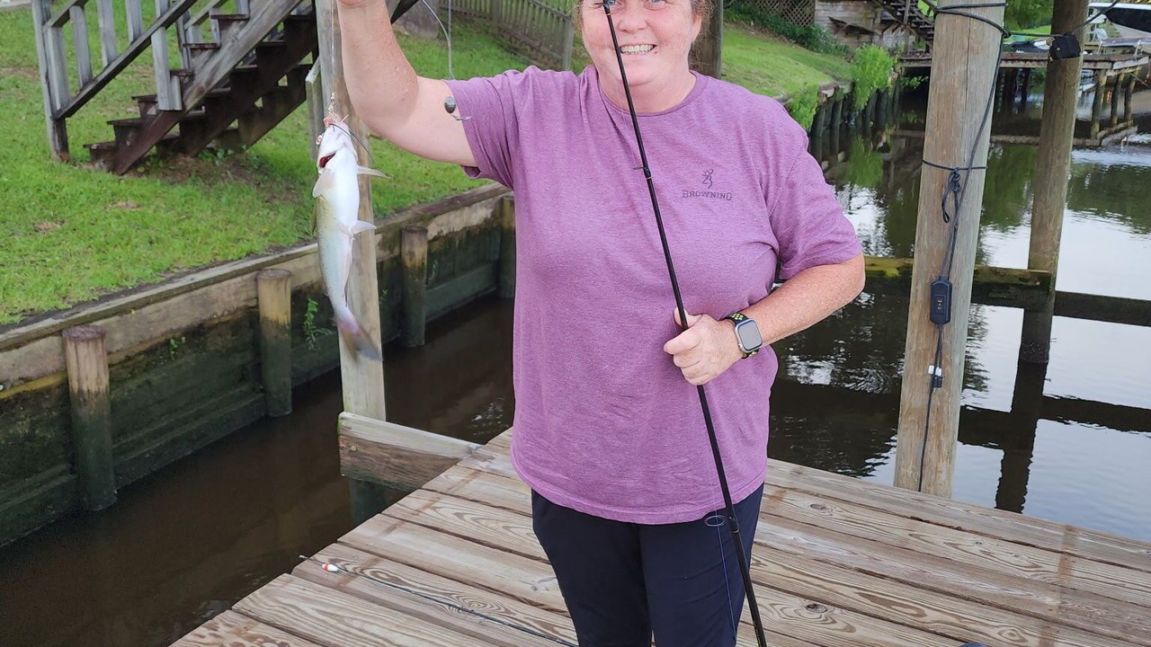 Photo of Others in D'Iberville