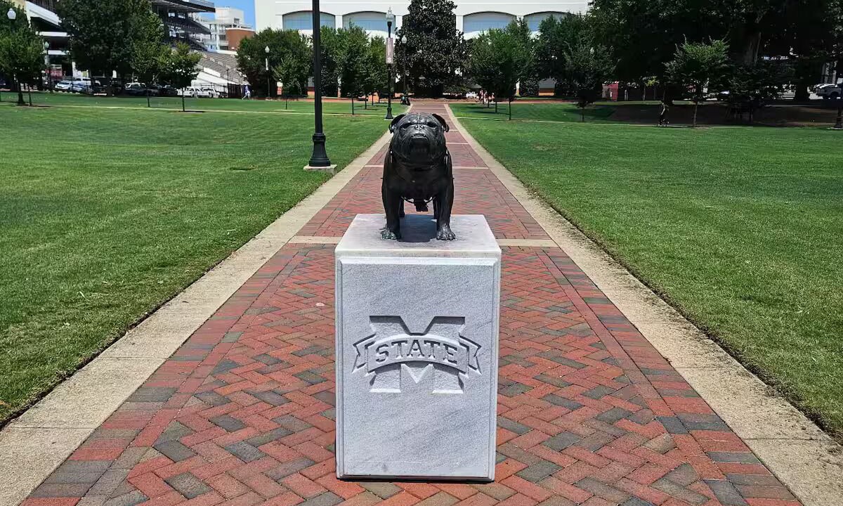 Photo of Outdoor in Starkville