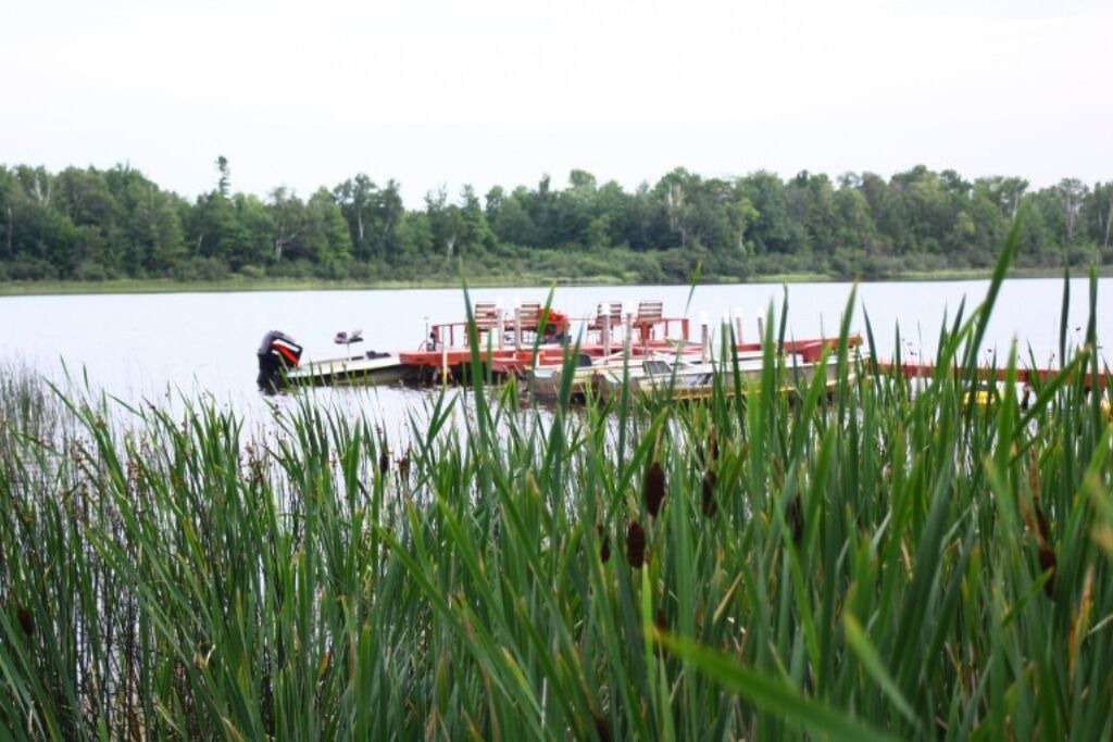 Photo of Others in Trout Lake