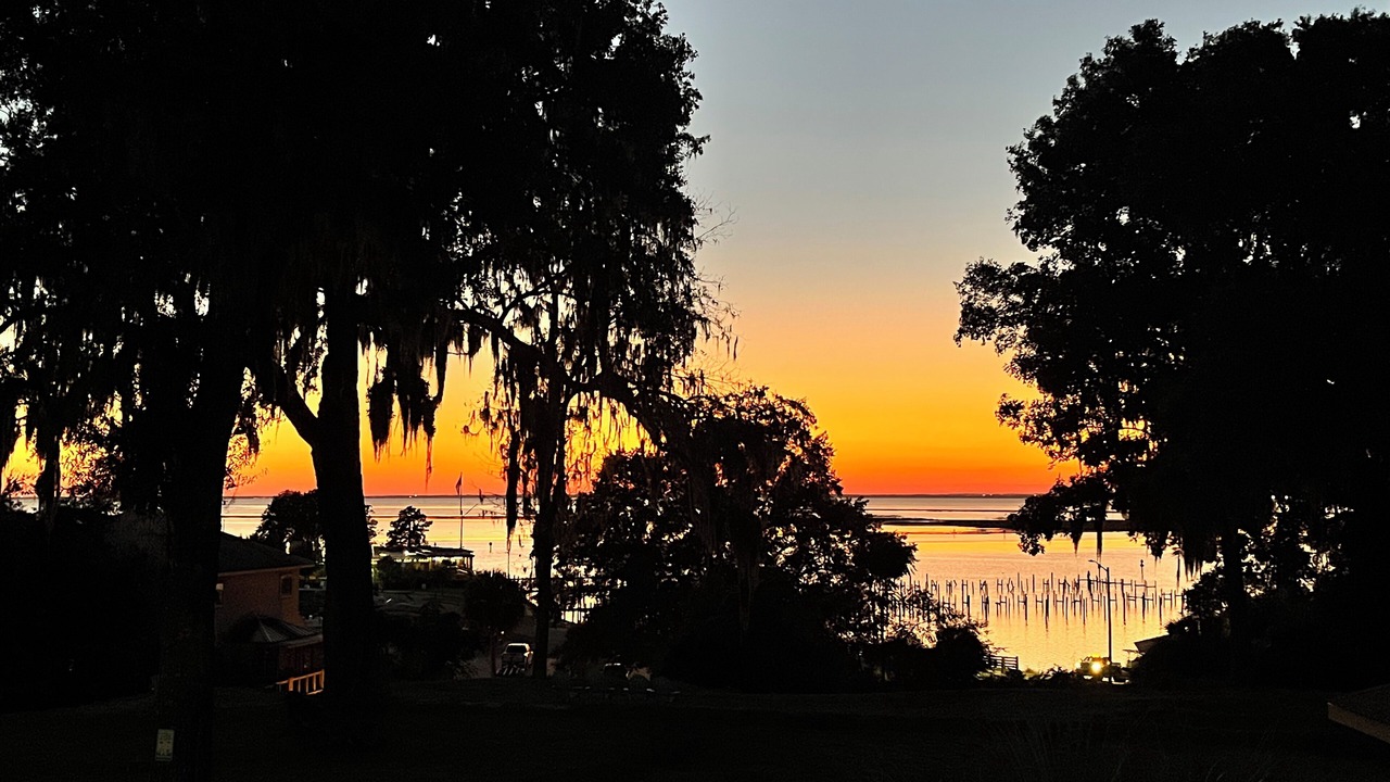 Photo of Others in Daphne