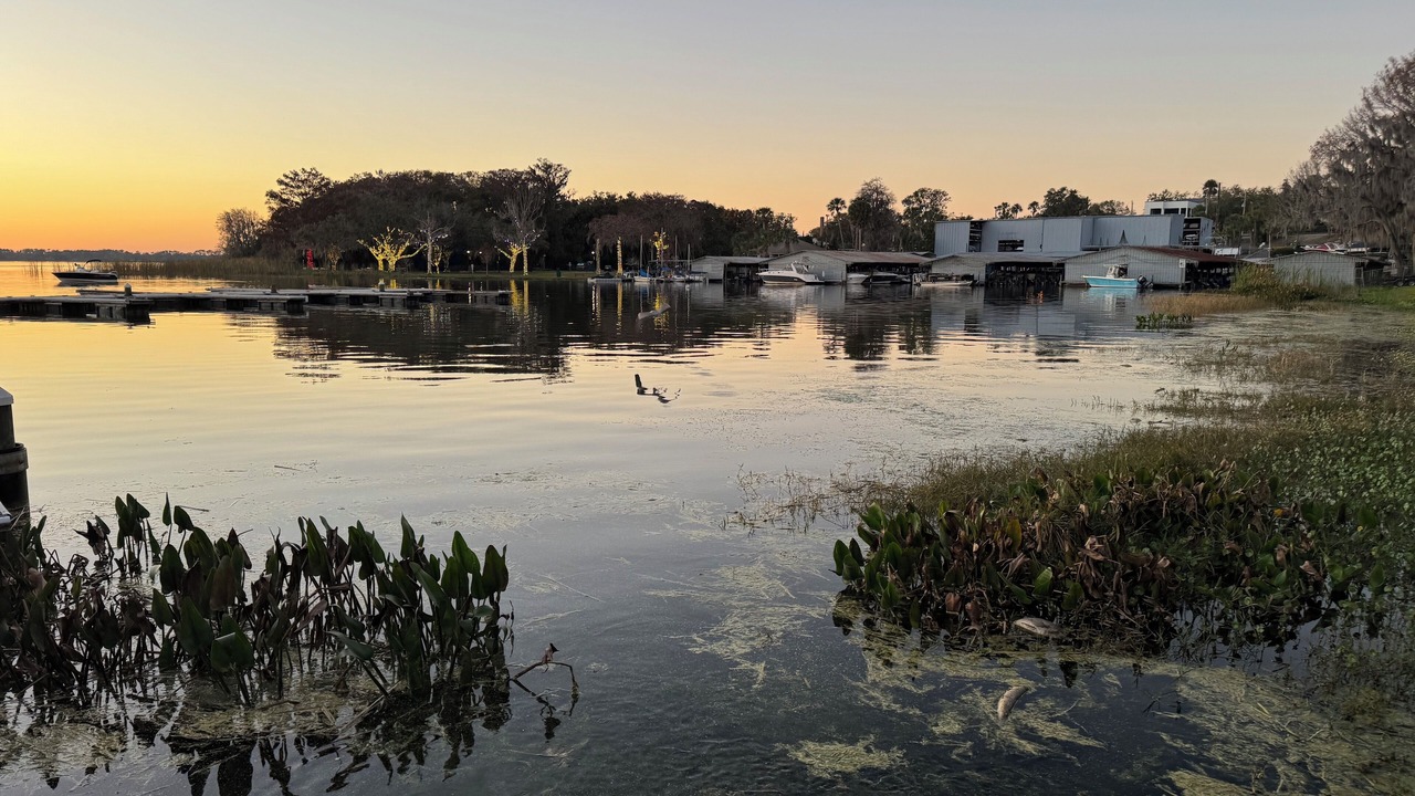 Photo of Others in Mount Dora