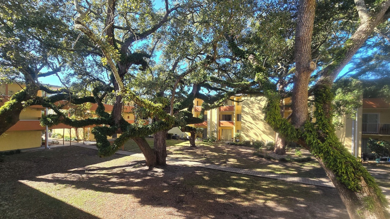 Photo of Outdoor in Mary Esther
