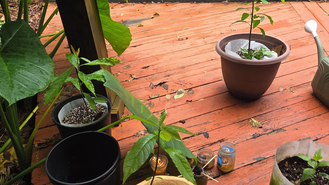 Photo of Outdoor in Escambia County