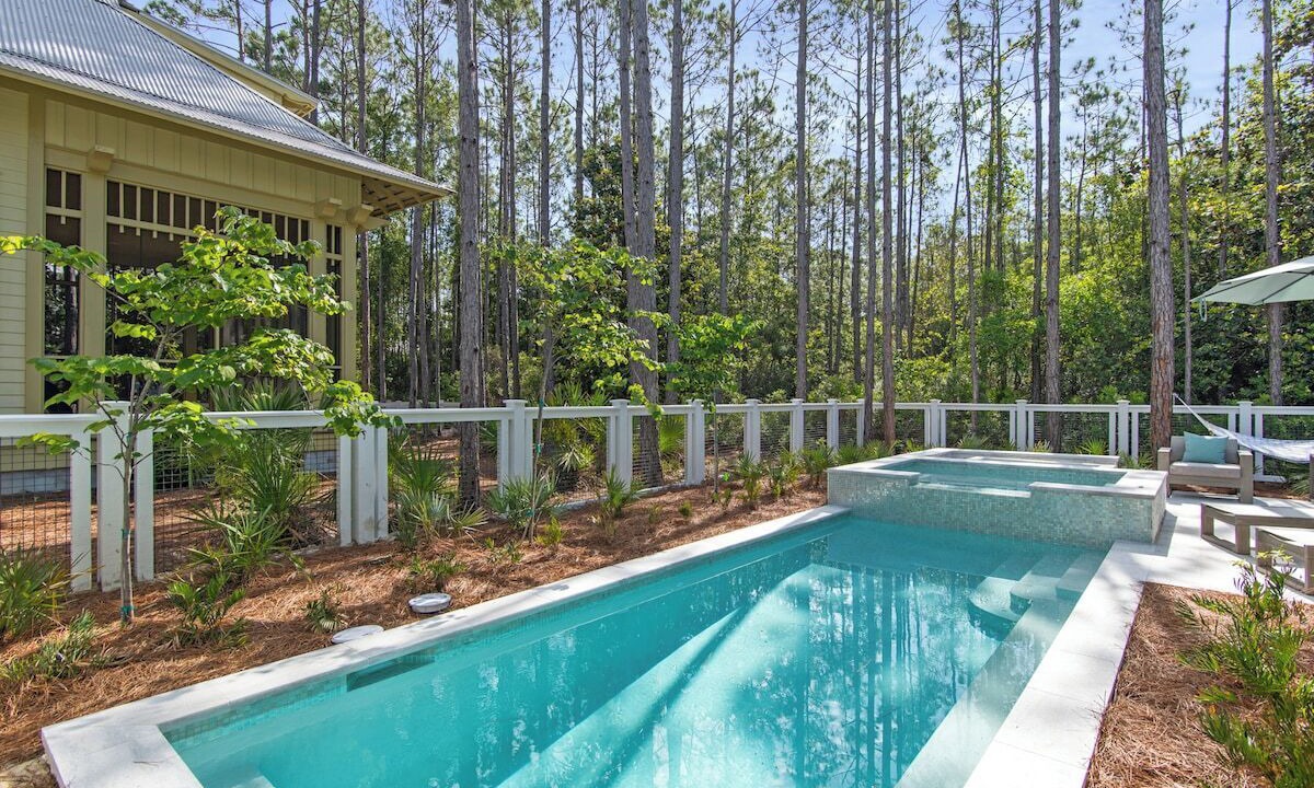 Photo of Outdoor in Forest District