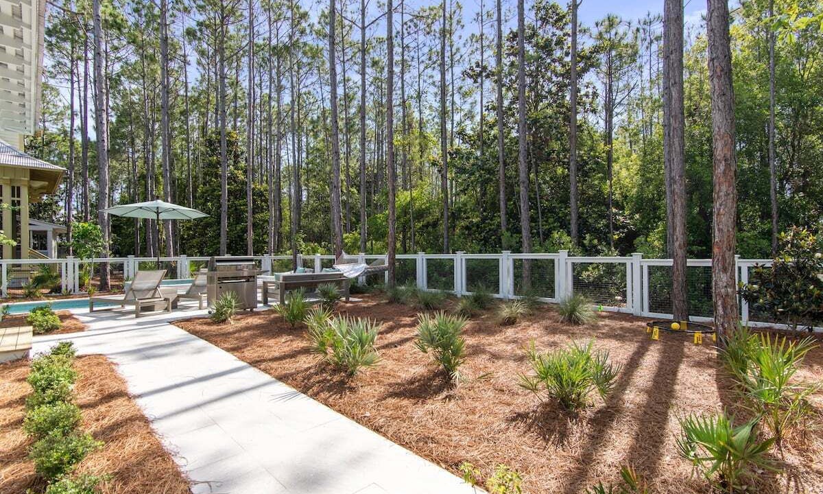 Photo of Outdoor in Forest District