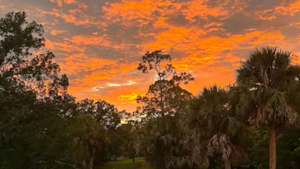 Photo of Others in New Smyrna Beach
