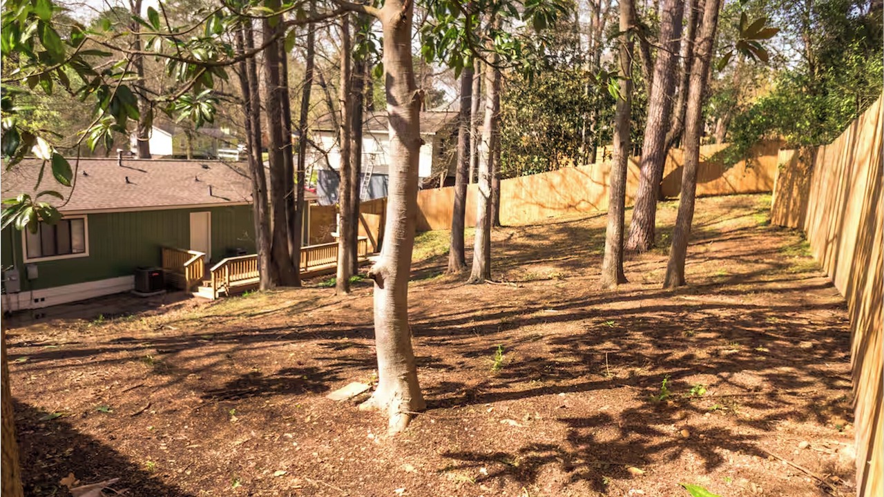 Photo of Outdoor in Fortson