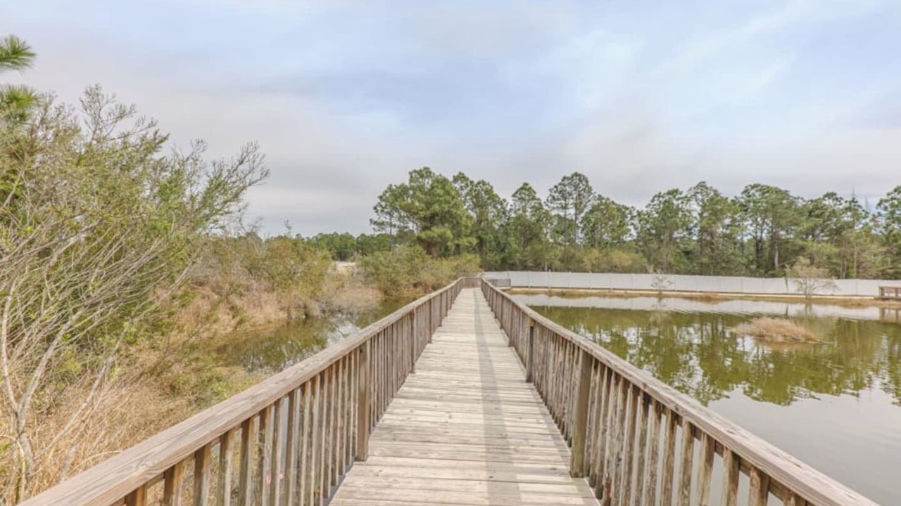 Photo of Others in Orange Beach