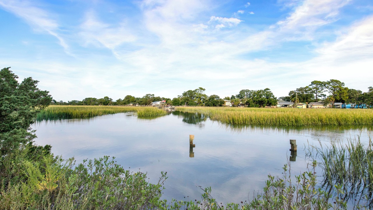 Photo of Others in Tybee Island