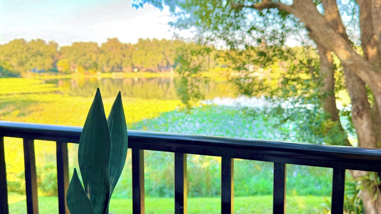 Photo of Outdoor in Orlando