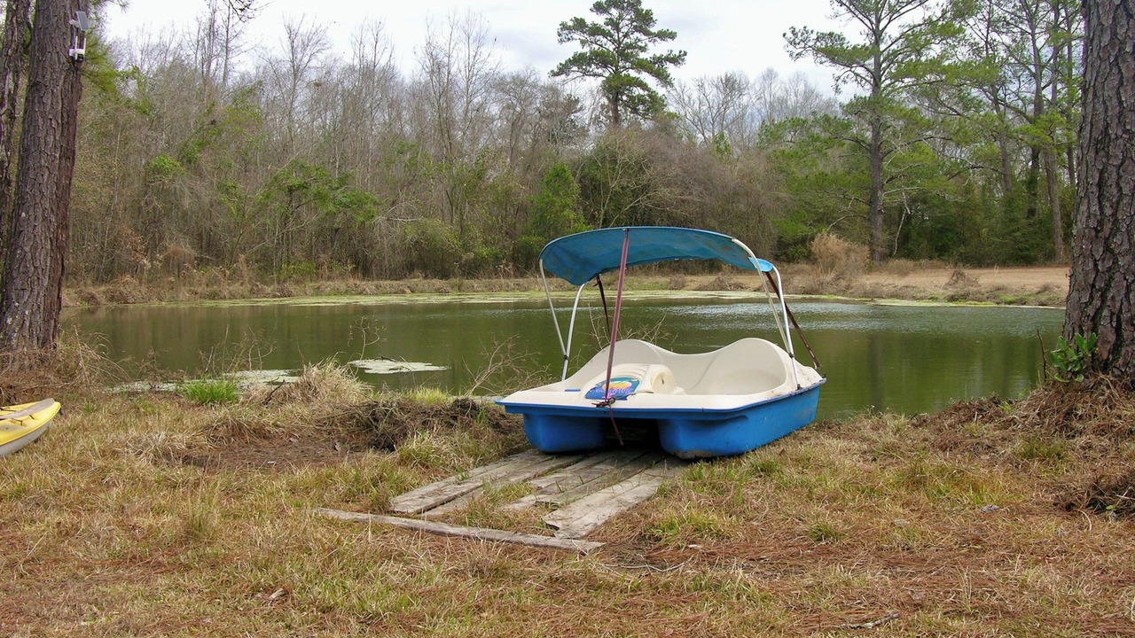 Photo of Others in Rupert