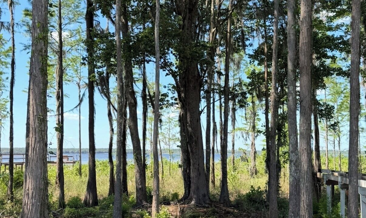 Photo of Others in Graham