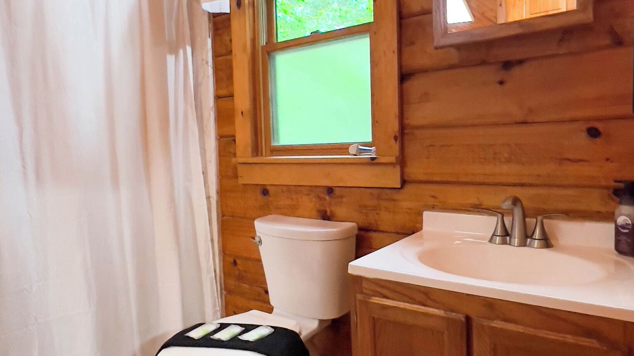 Photo of Bathroom in Pine Mountain