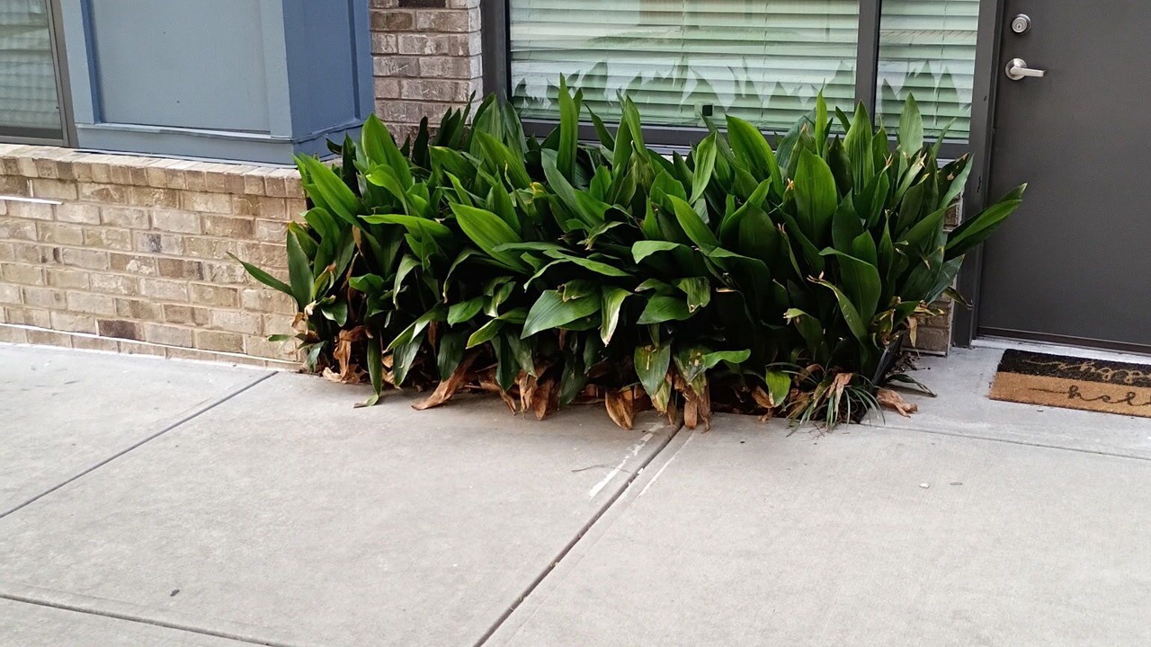 Photo of Outdoor in Westside