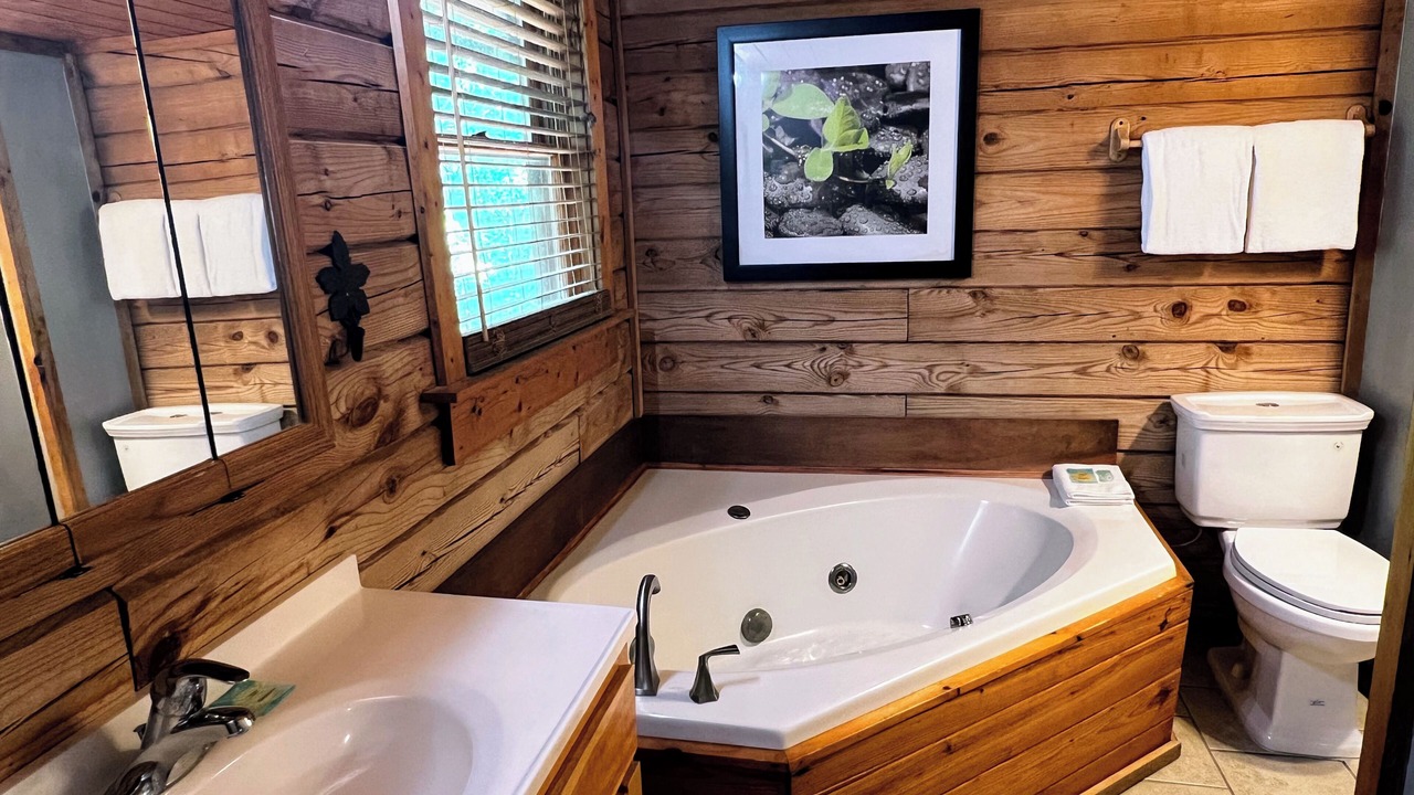Photo of Bathroom in Pine Mountain